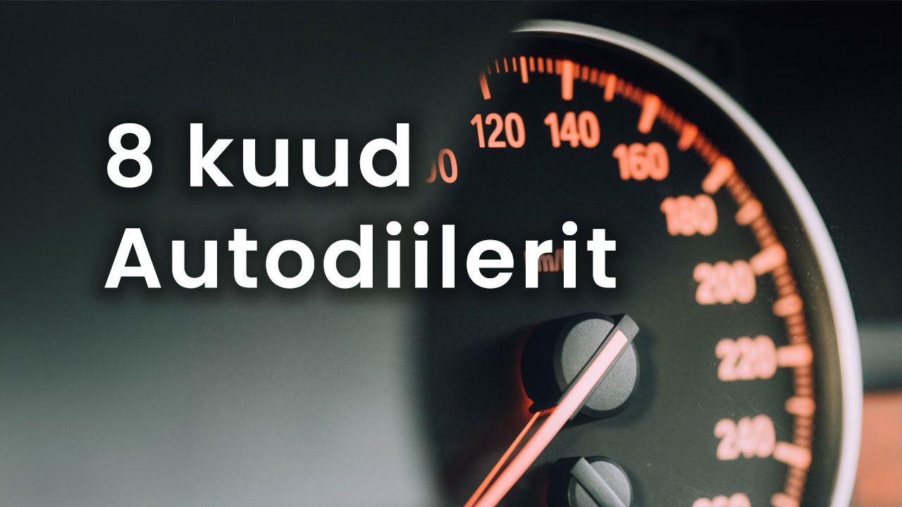 Kaheksa kuud Autodiilerit