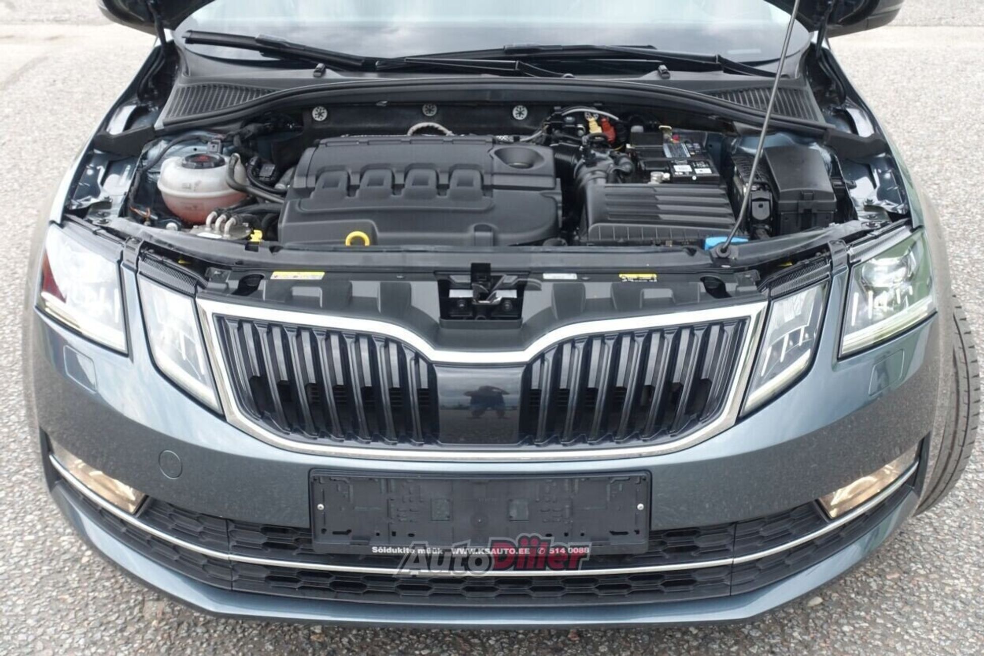 Skoda Octavia 2020, photo 5/10