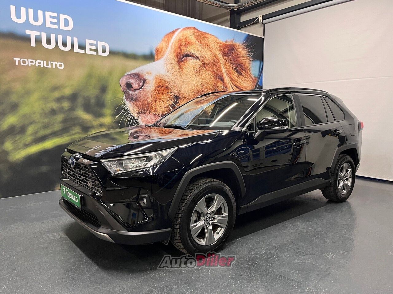 Toyota RAV4 Hybrid Dynamic Force 2.5 131kW - Autodiiler