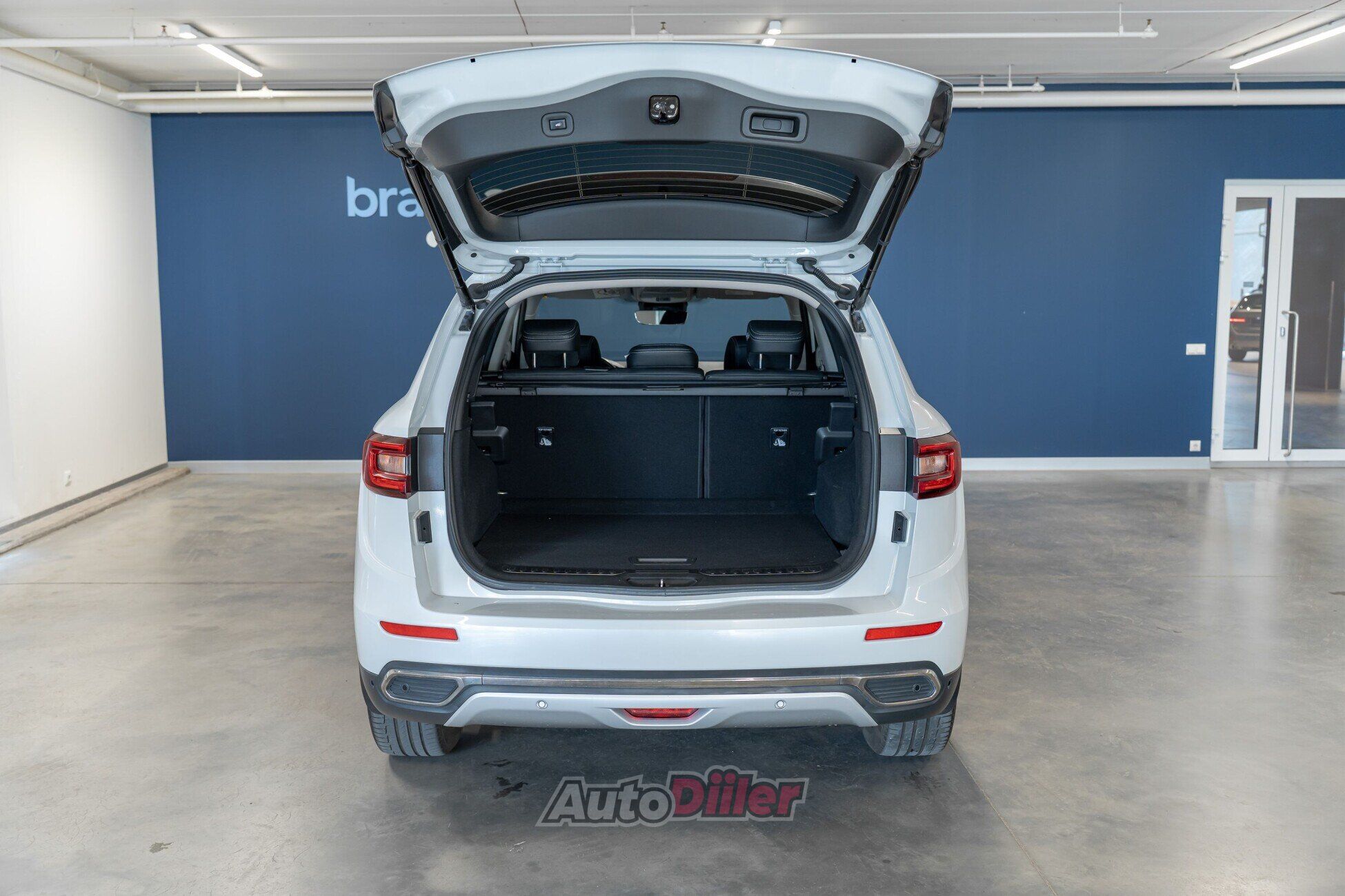 Renault Koleos 2020, photo 5/10