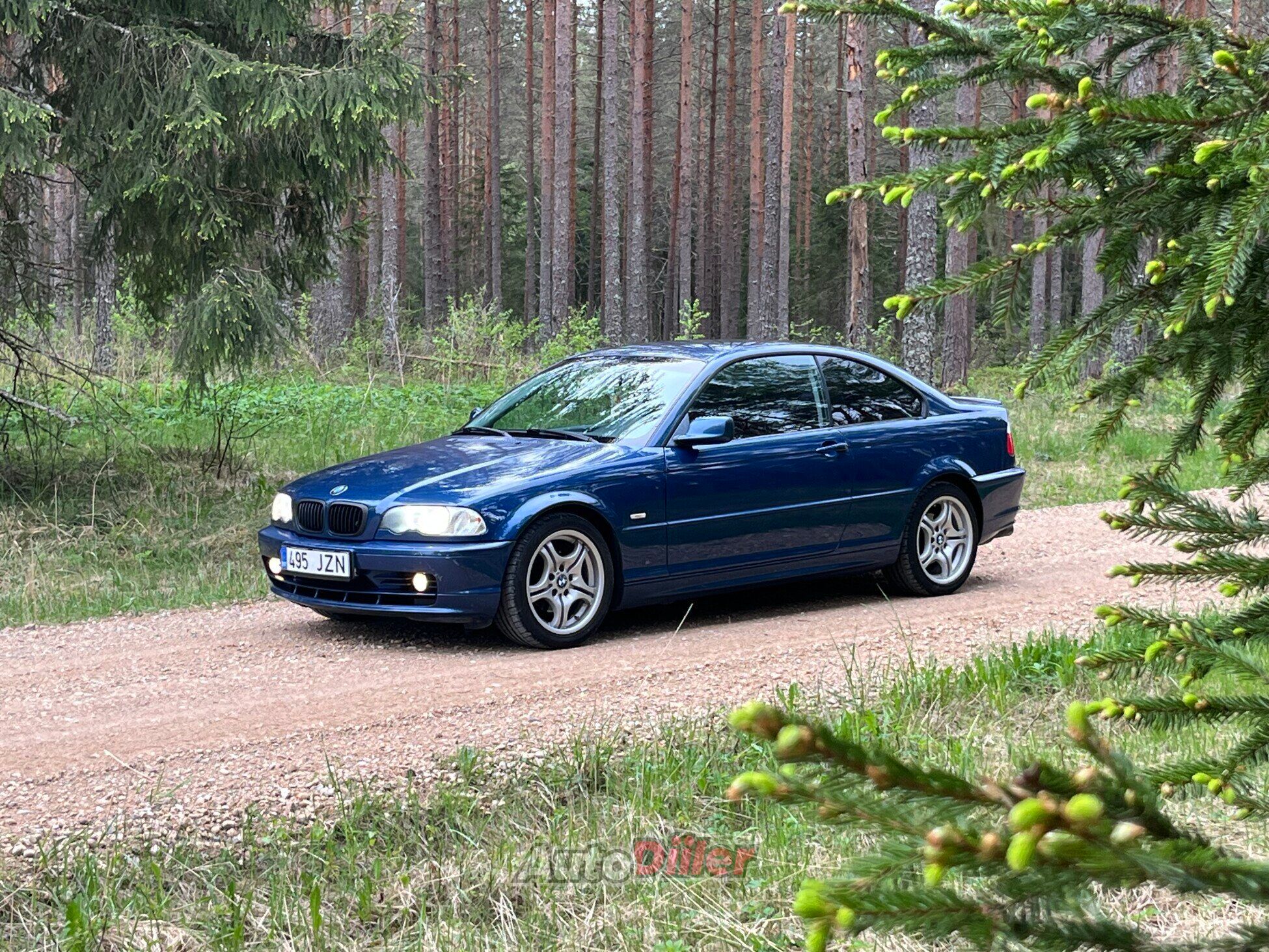 BMW 318