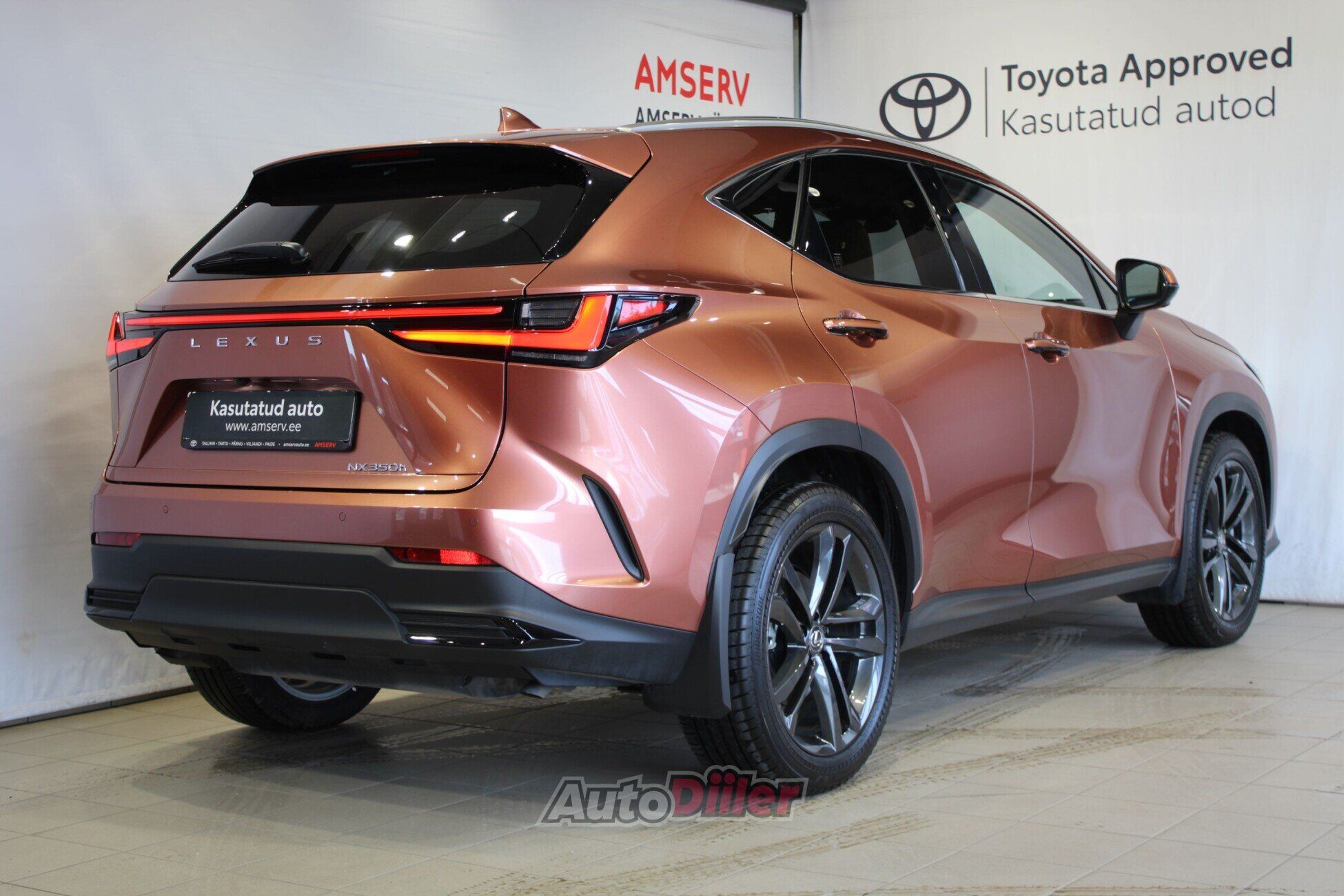 Lexus NX 350h 2025, kuva 2/10
