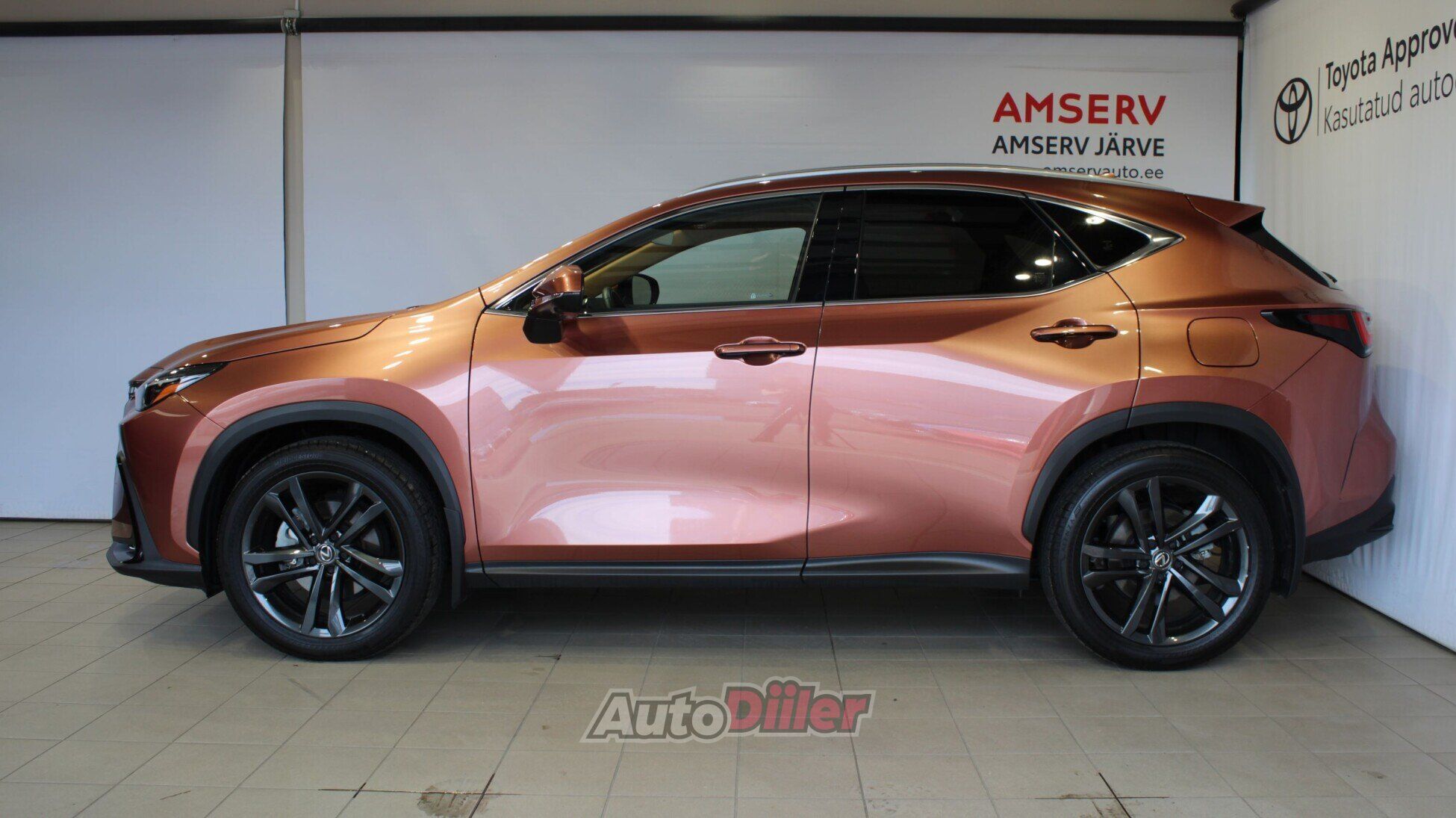 Lexus NX 350h 2025, kuva 3/10