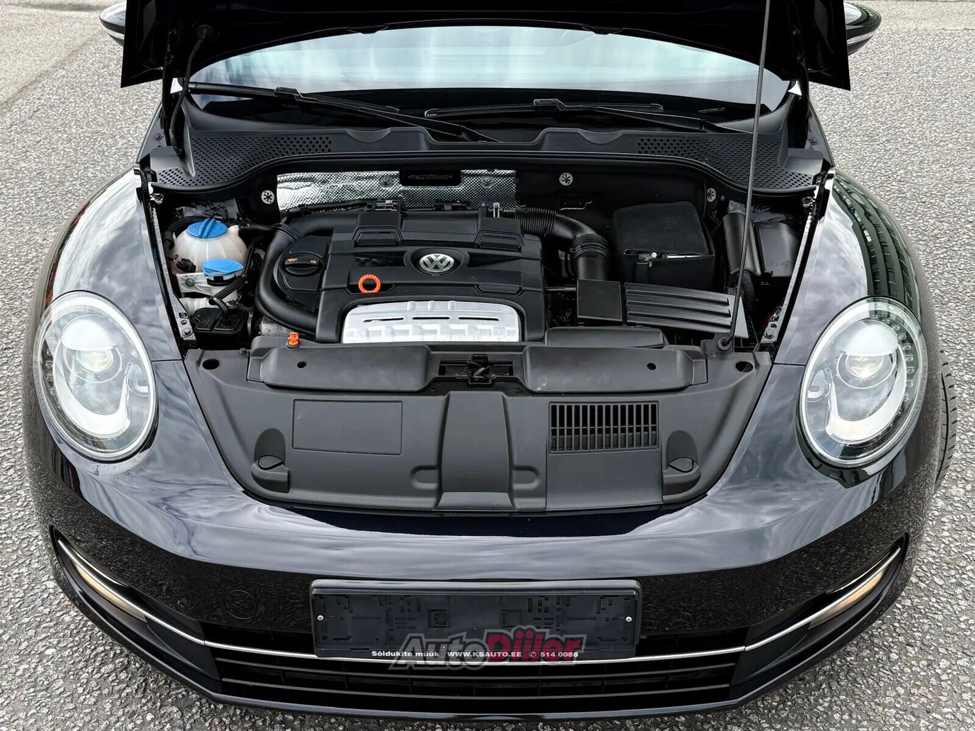 Volkswagen Beetle 2012, kuva 5/10