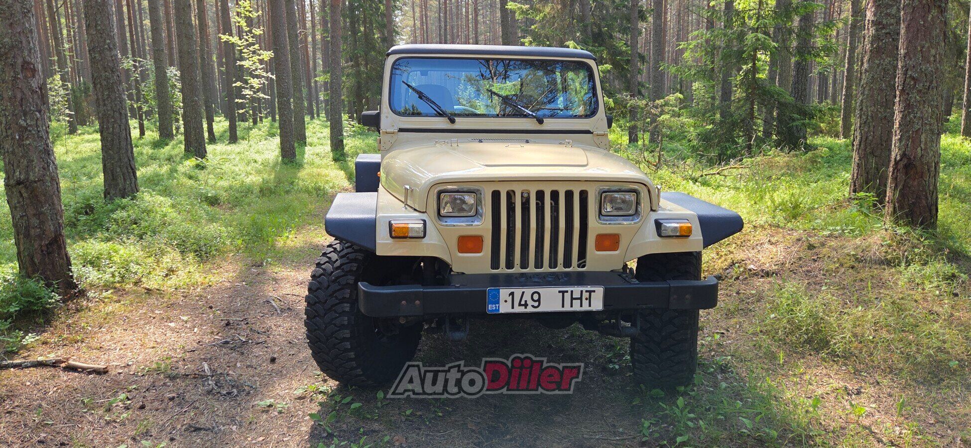 Jeep Wrangler 2.5 85kW 1989, photo 2/10