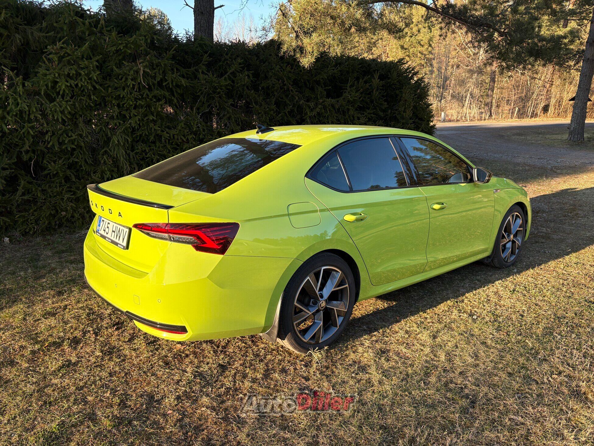 Skoda Octavia 2.0 110kW 2024, kuva 4/6