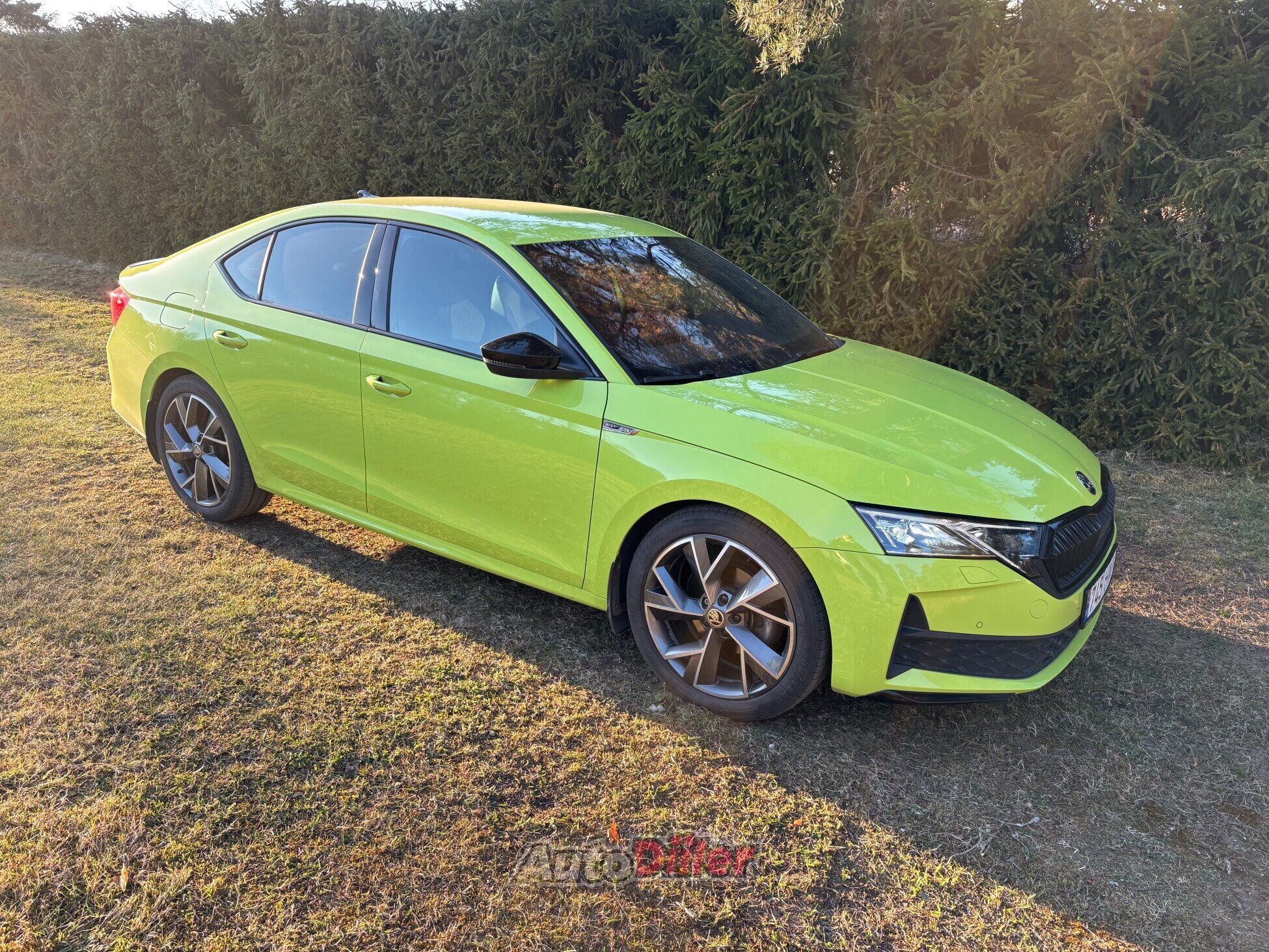 Skoda Octavia 2.0 110kW 2024, kuva 2/6
