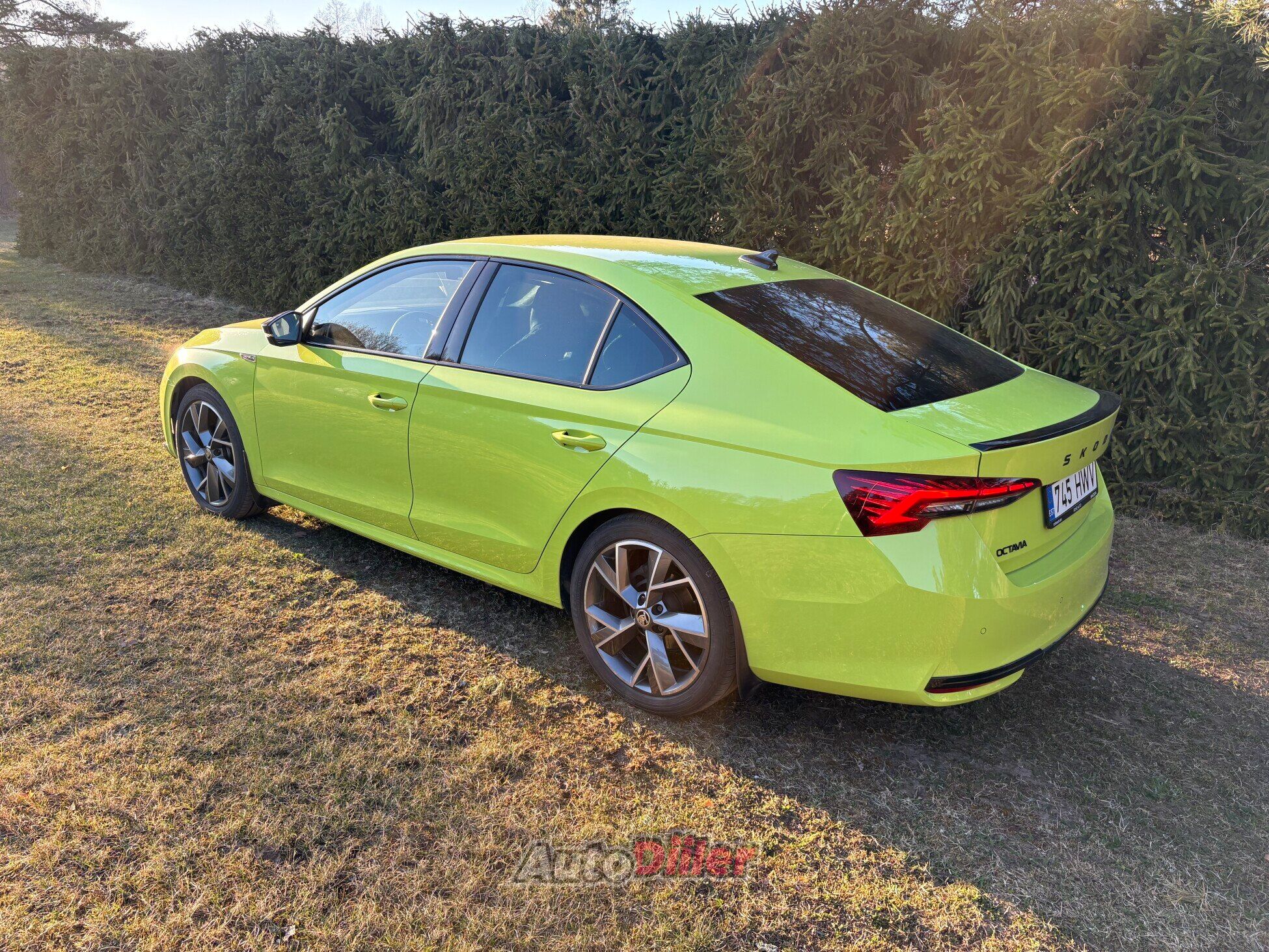 Skoda Octavia 2.0 110kW 2024, kuva 3/6