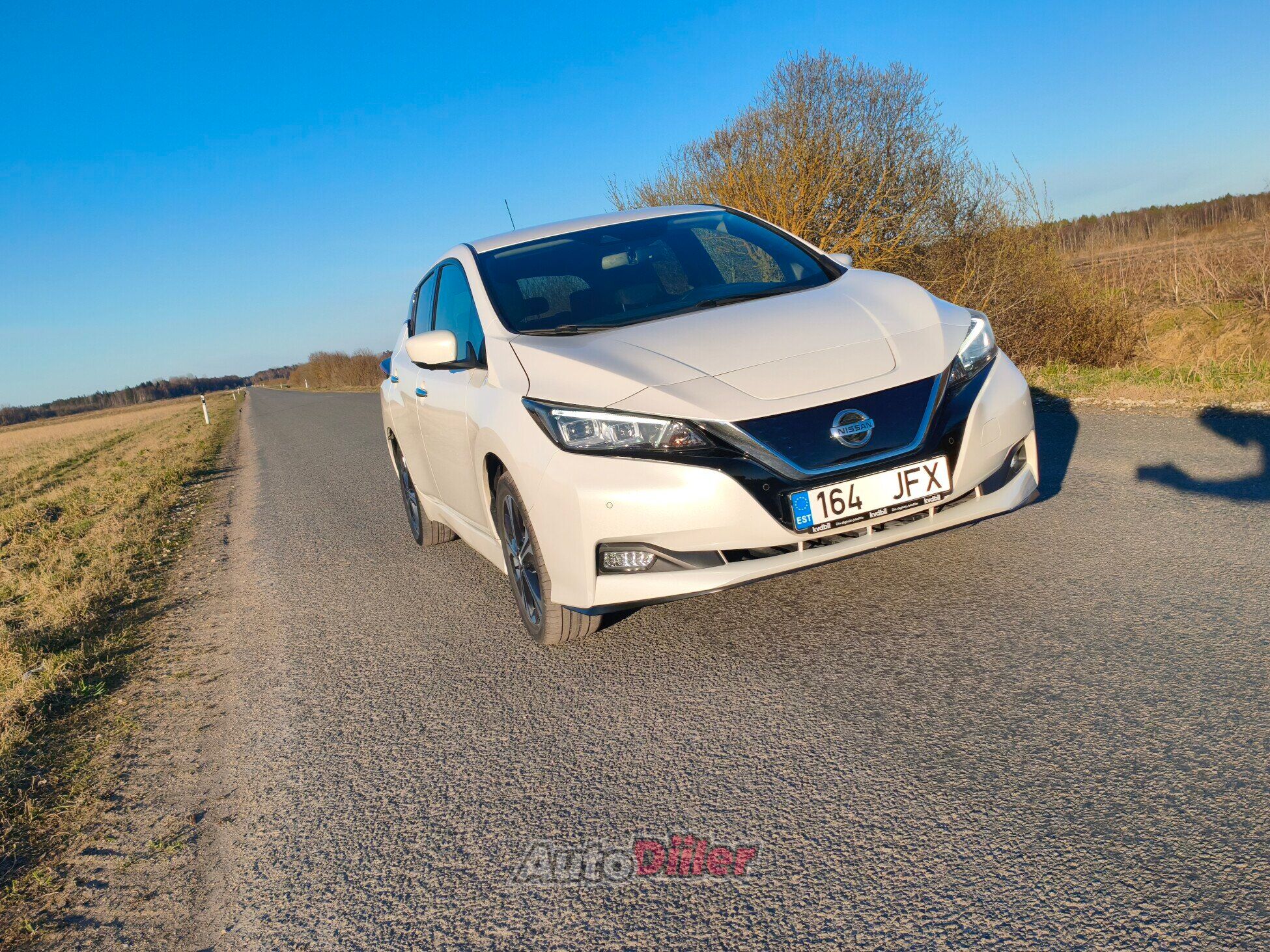 Nissan Leaf 62kWh Tekna ProPilot 90kW 2019, photo 2/10