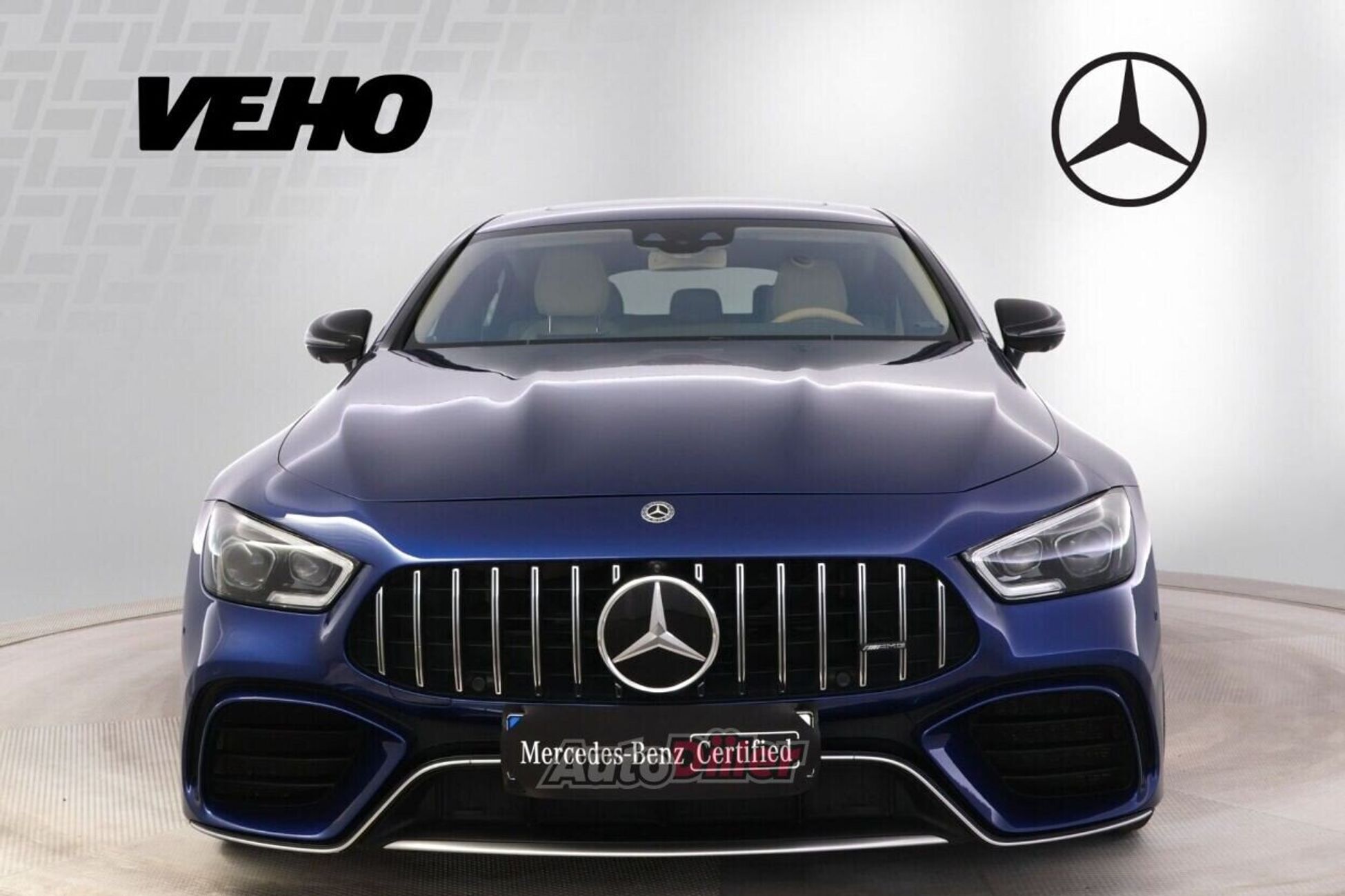 Mercedes-Benz AMG GT 63 S 2019, photo 6/10