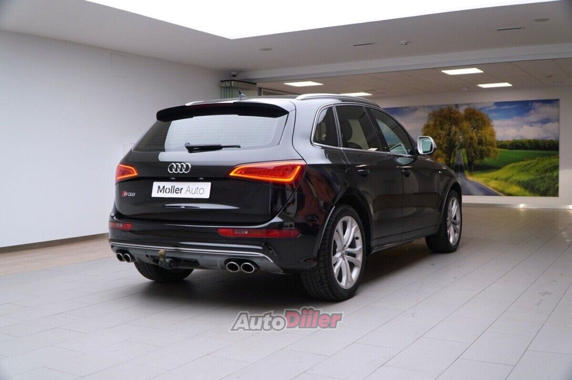 Audi SQ5 3.0 230kW 2013, photo 4/10