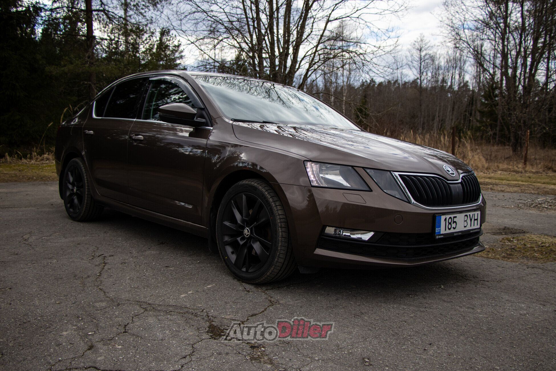 Skoda Octavia 2.0 110kW 2018, kuva 2/8