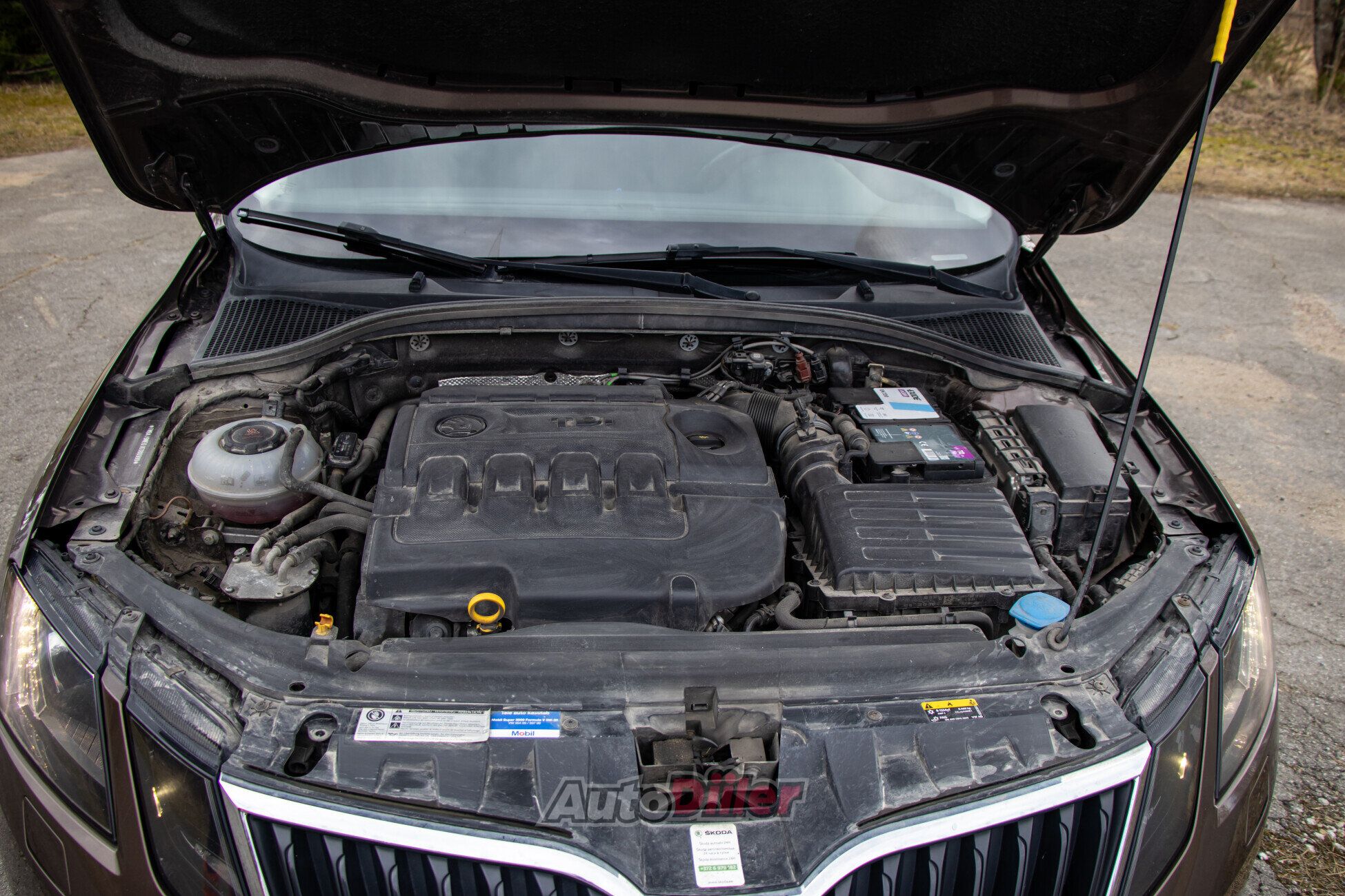 Skoda Octavia 2.0 110kW 2018, kuva 8/8