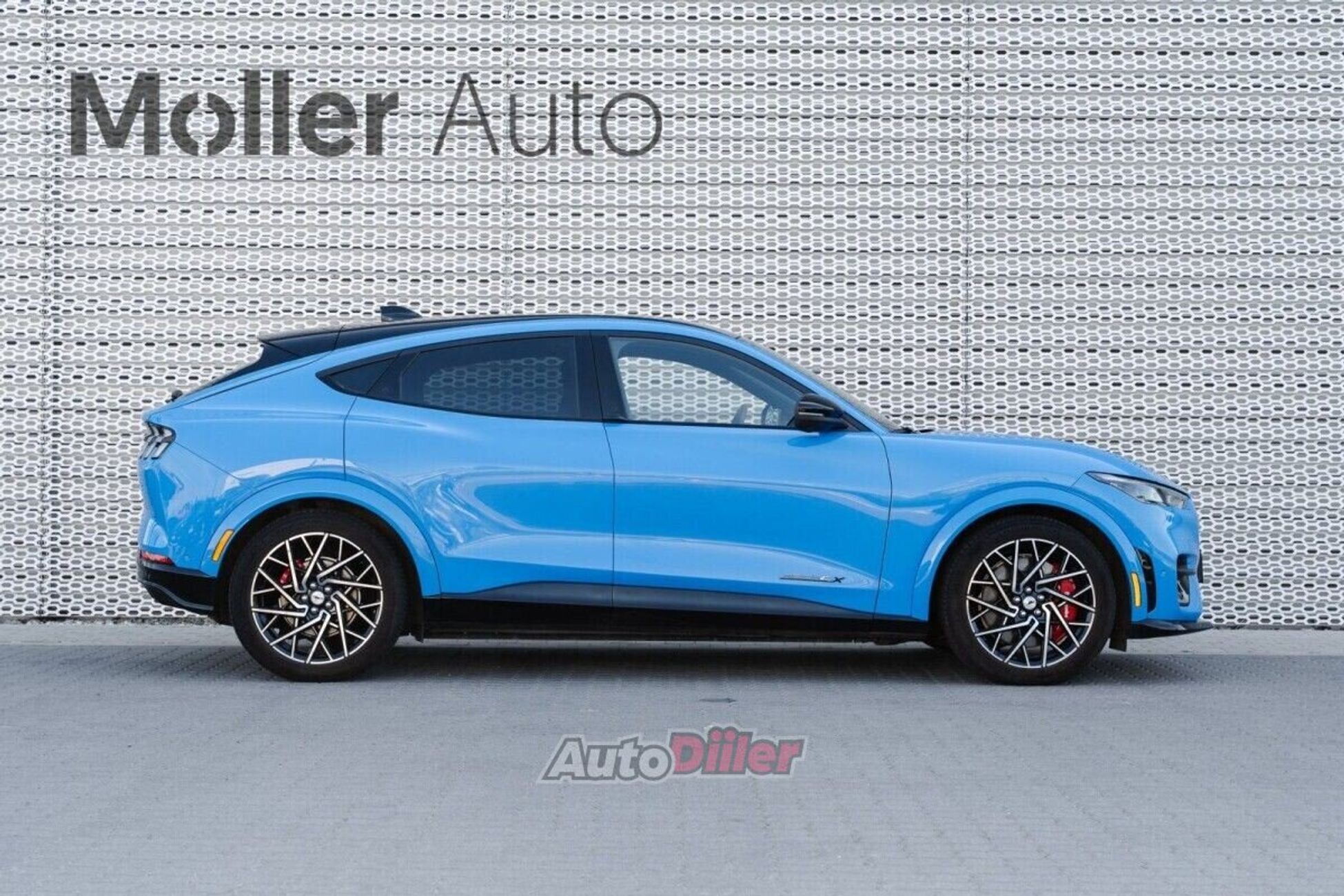 Ford Mustang 358kW 2022, photo 5/10