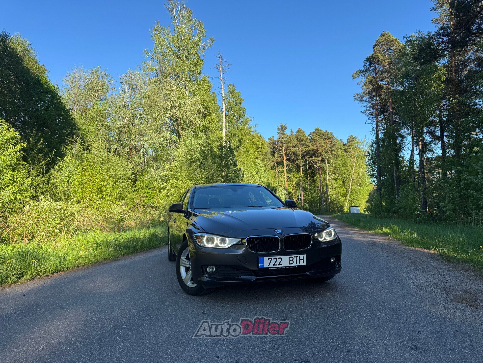 BMW 316