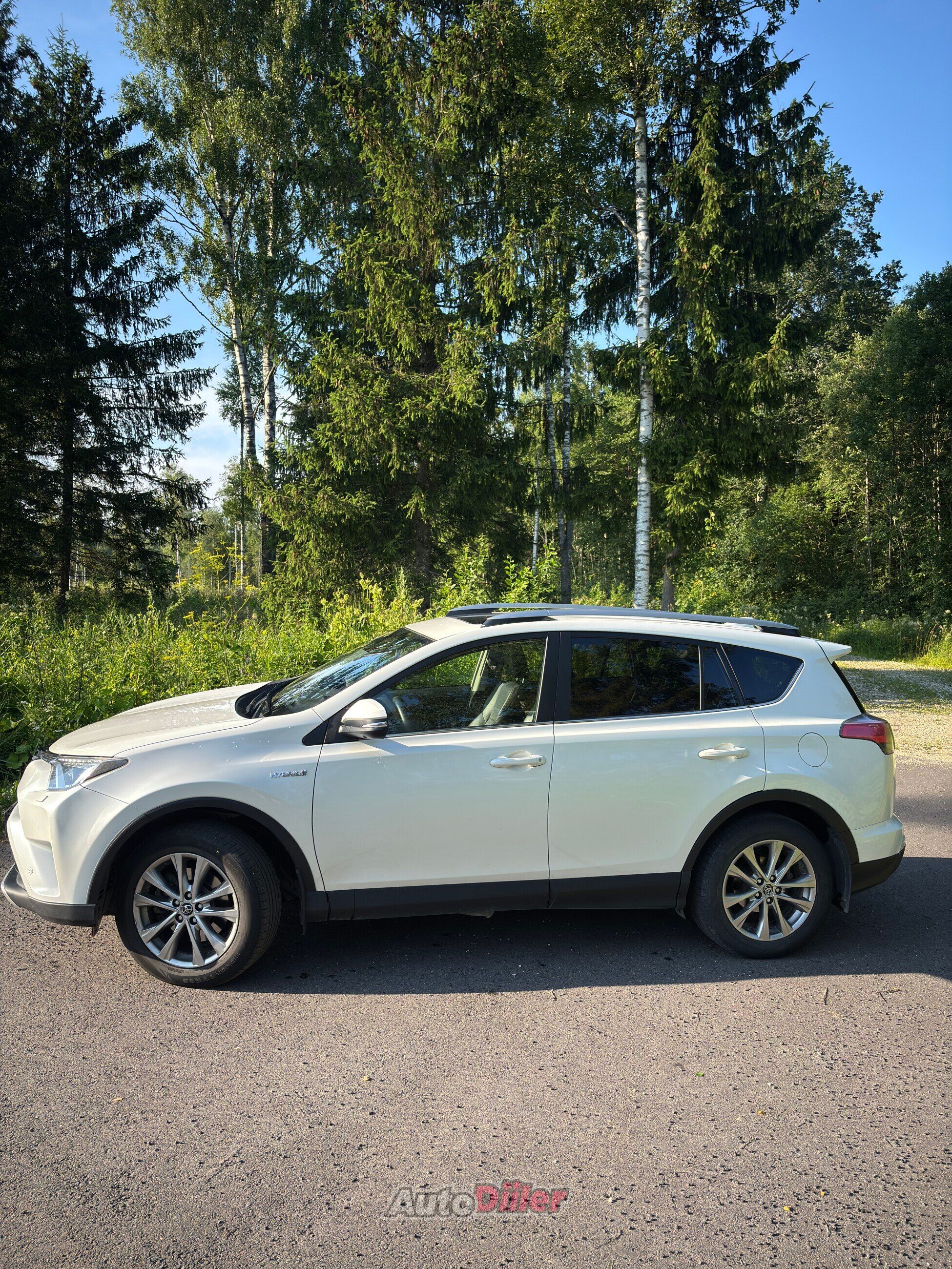 Toyota RAV4 2.5 114kW 2018, photo 3/5