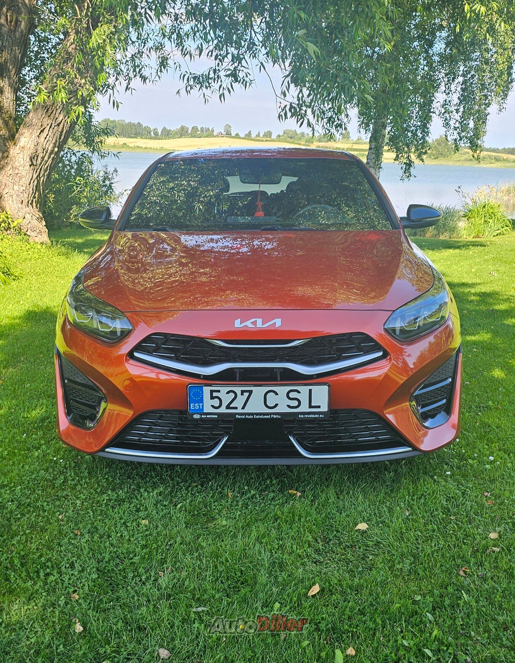 Kia pro cee'd / ProCeed 1.5 117kW 2023, photo 7/10