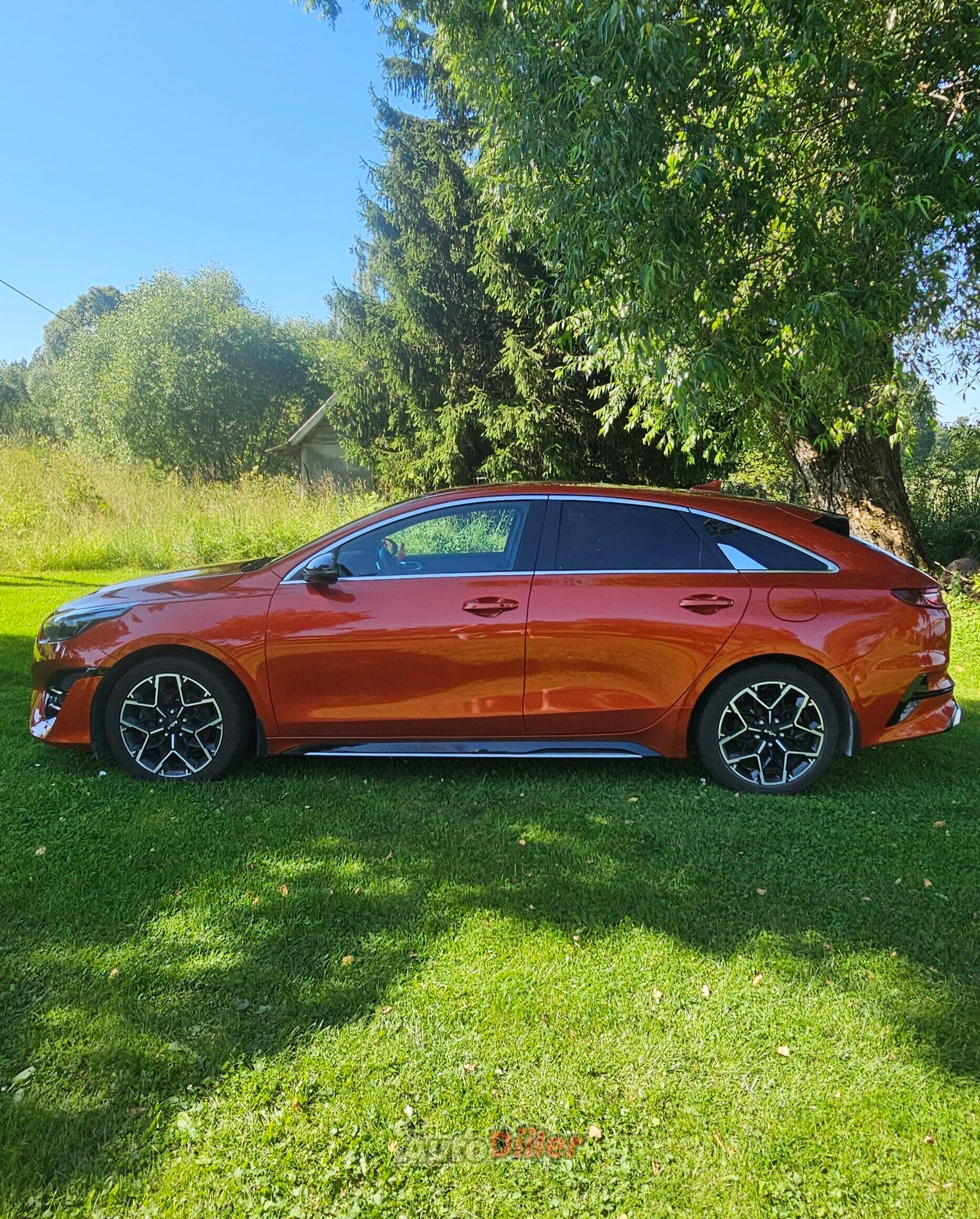 Kia pro cee'd / ProCeed 1.5 117kW 2023, photo 2/10