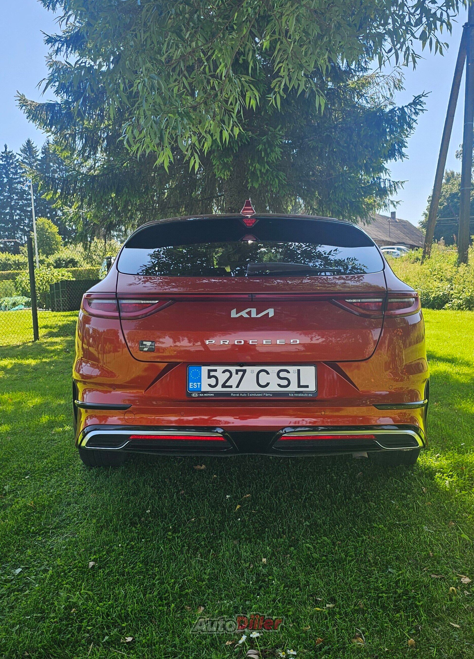 Kia pro cee'd / ProCeed 1.5 117kW 2023, photo 4/10