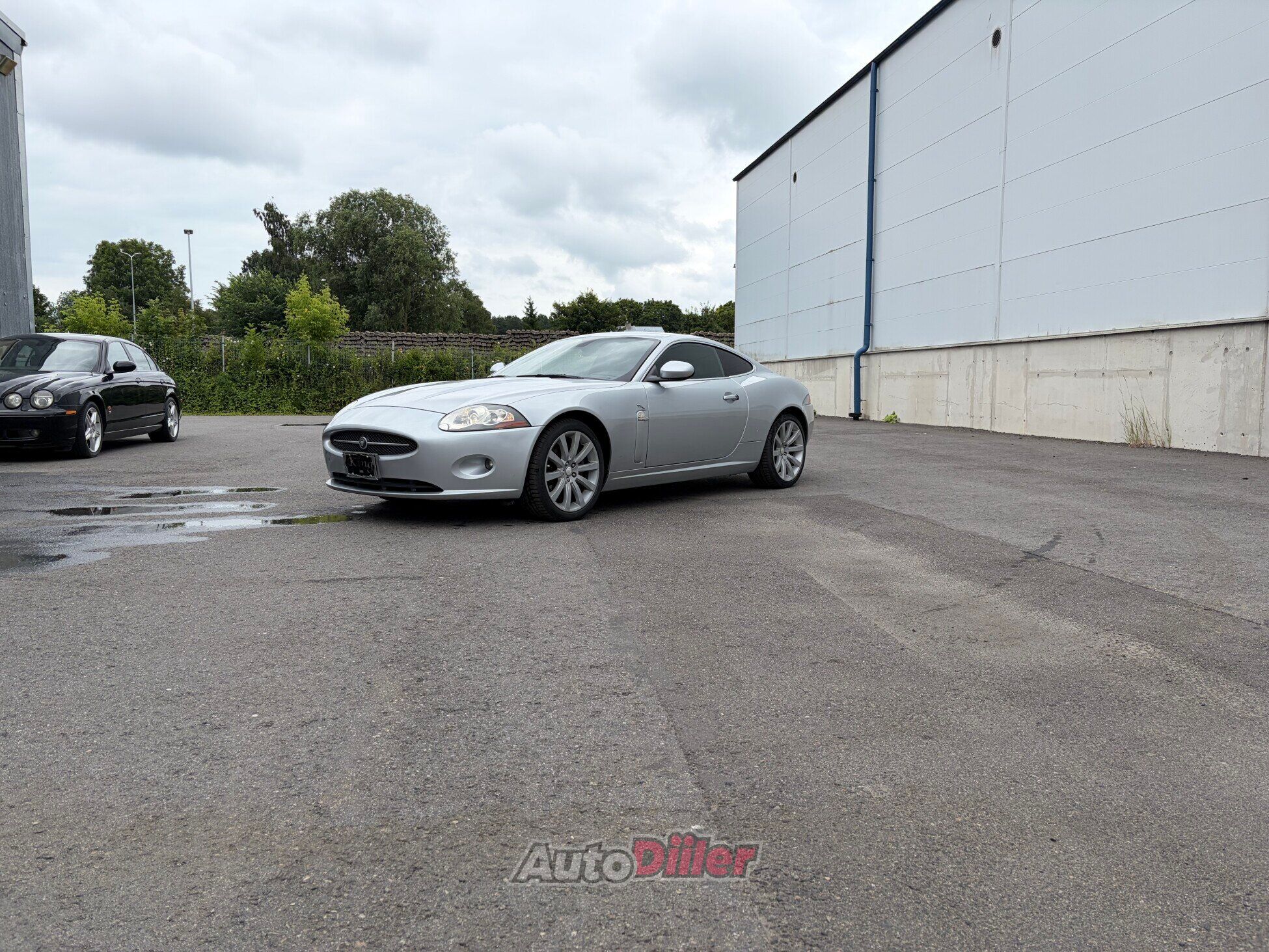 Jaguar XK