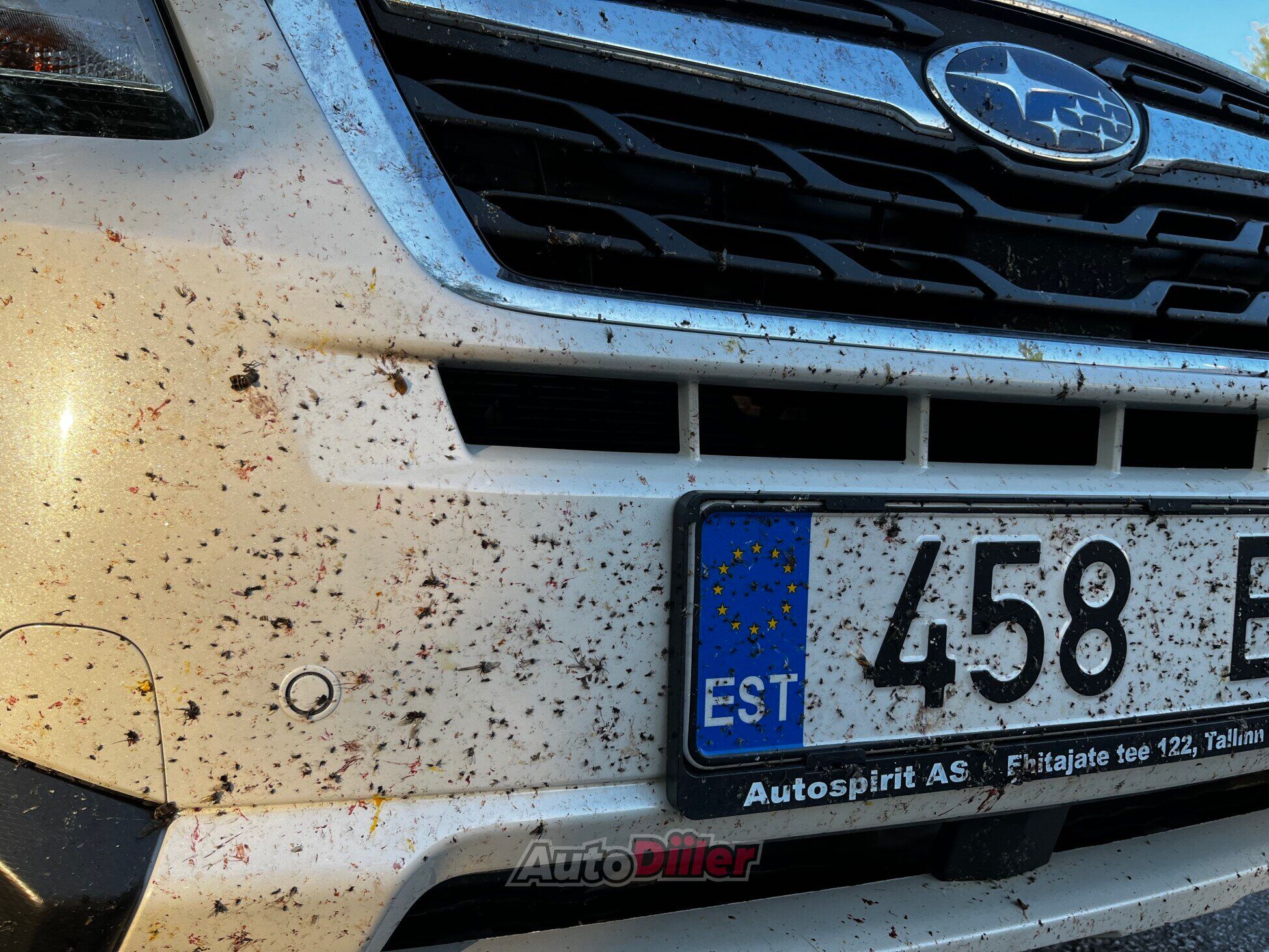 Subaru Forester 2.0 110kW 2016, photo 2/5