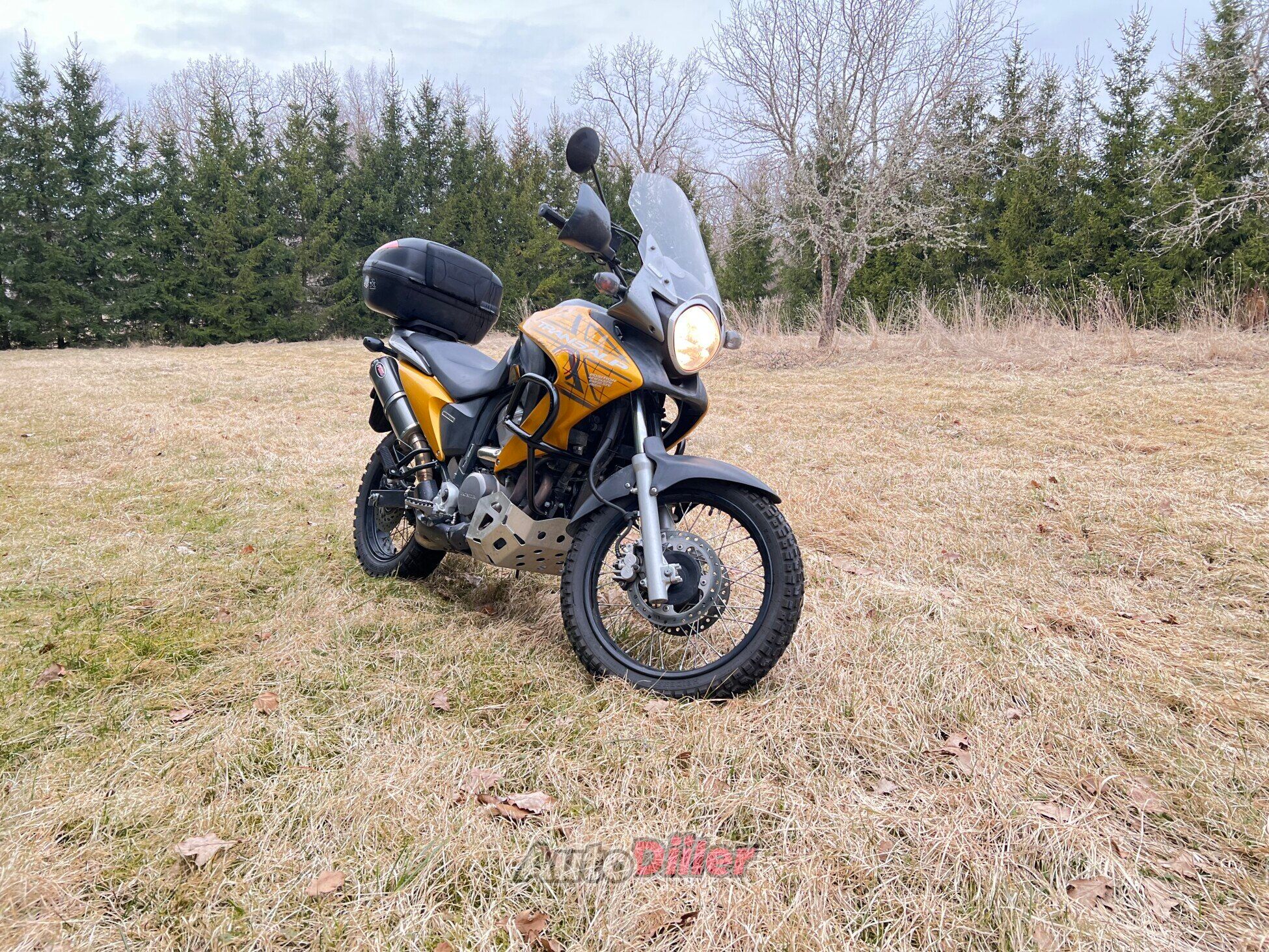 Honda XL