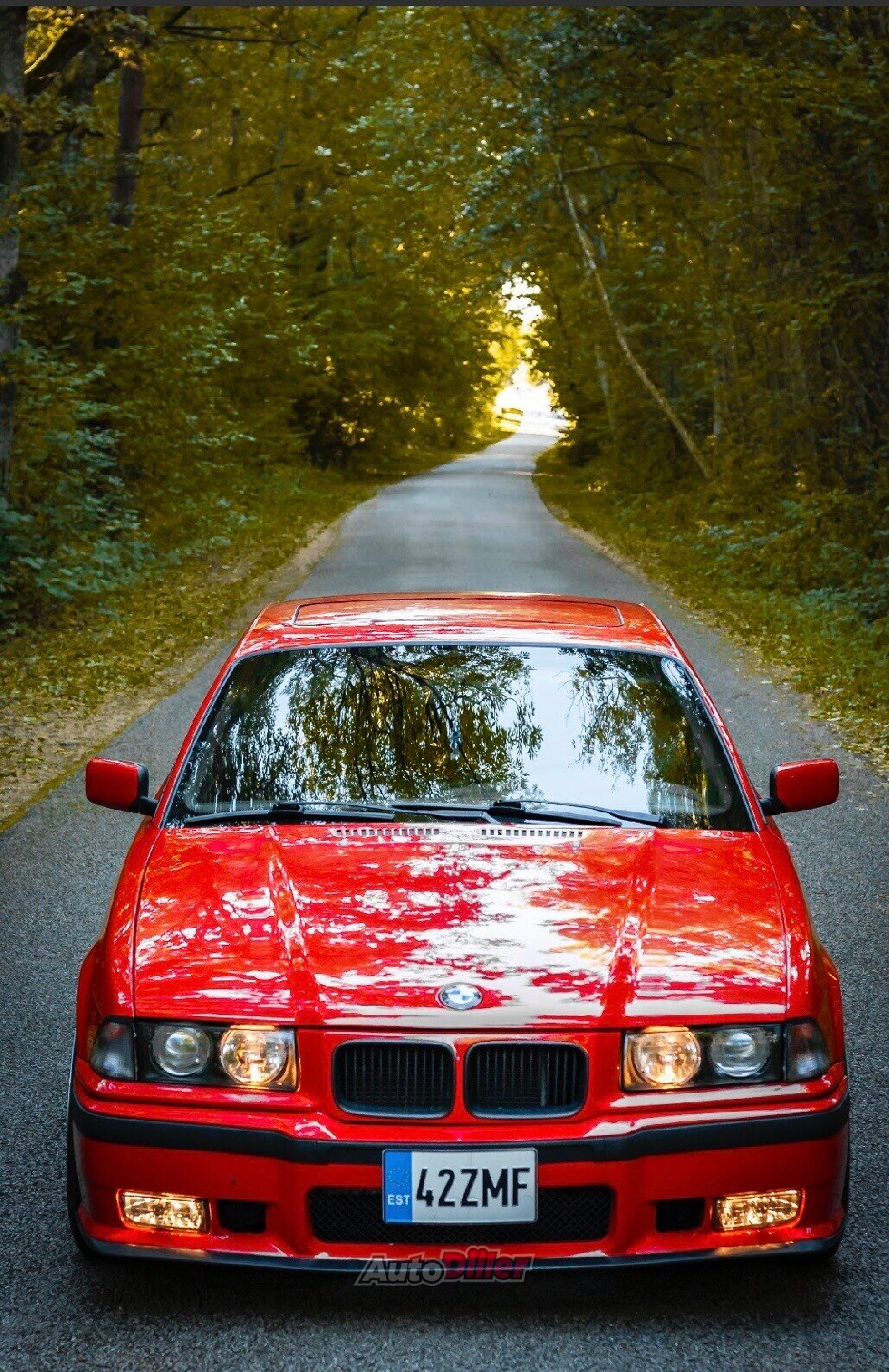 BMW 323 2.5 125kW 1992, photo 4/5