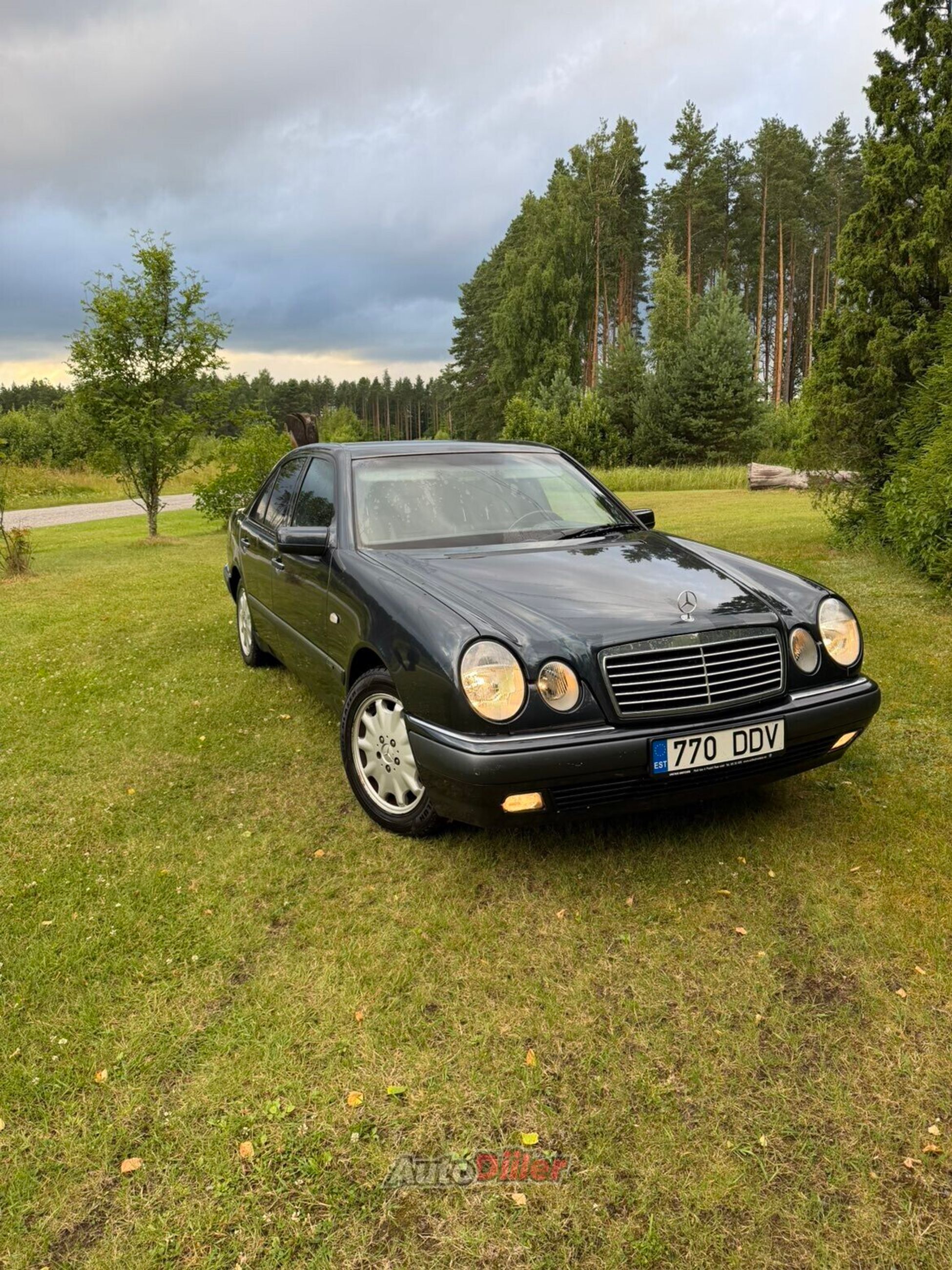 Mercedes-Benz E 320