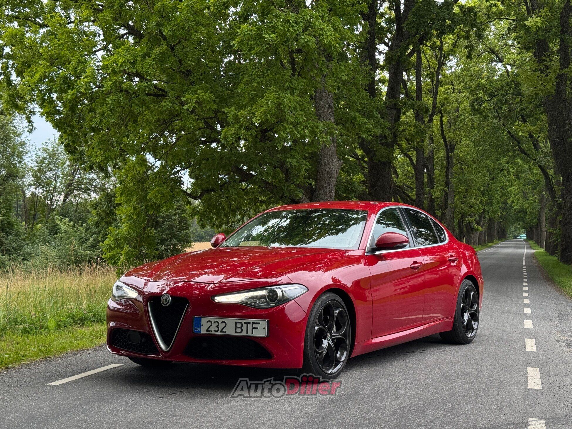 Alfa Romeo Giulia