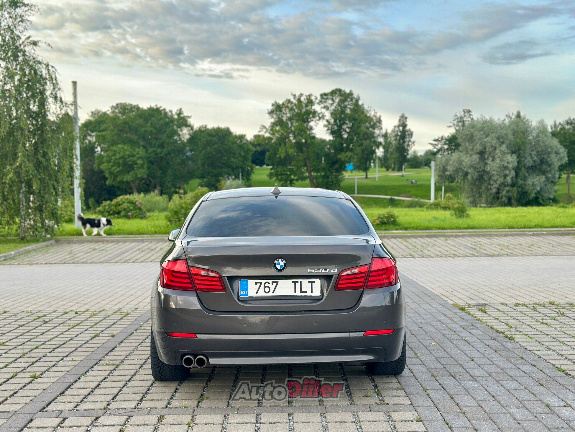 BMW 530 f10 3.0 180kW 2009, photo 5/10