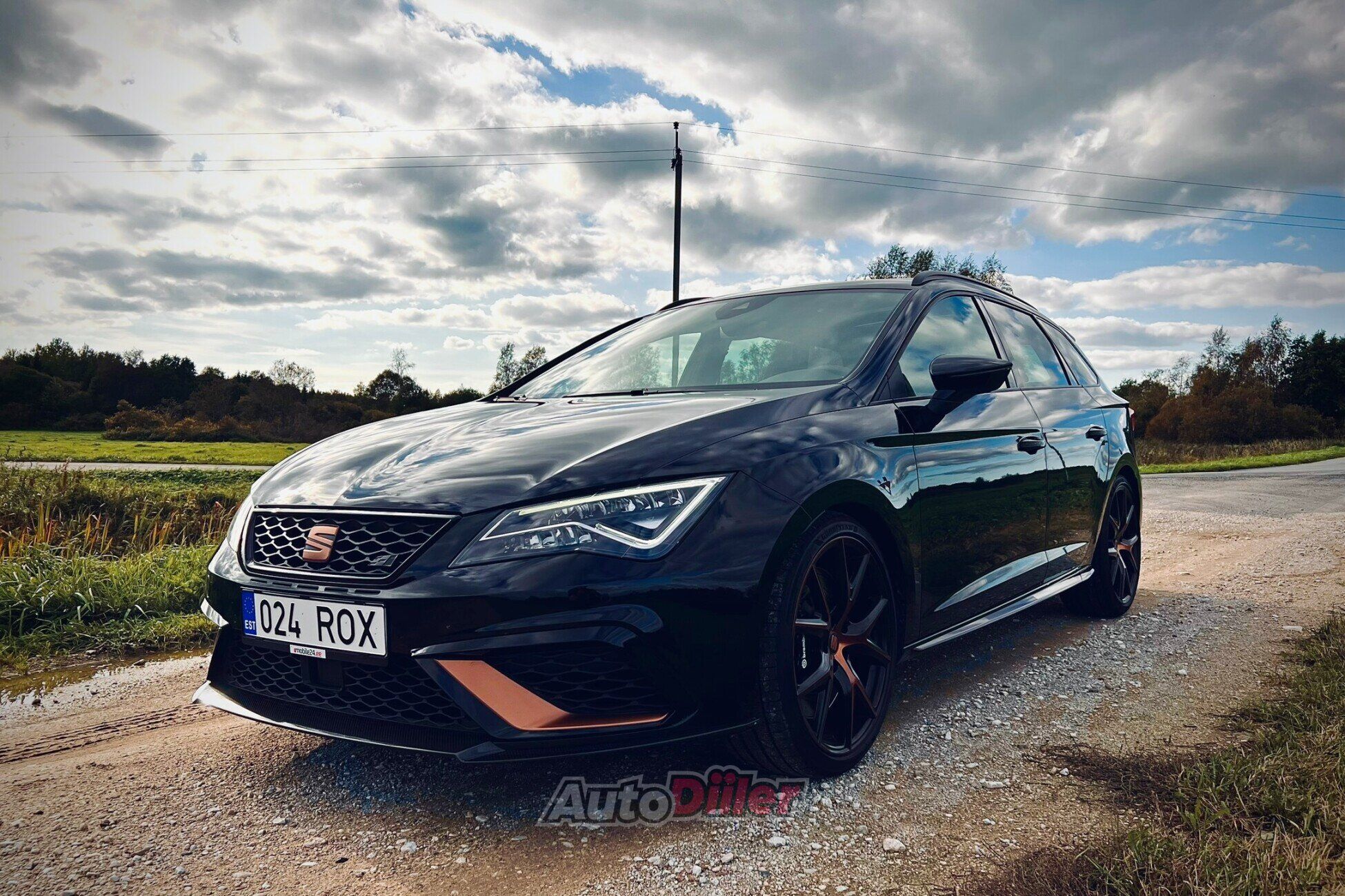 SEAT Leon Cupra R ST 2.0 221kW 2020, photo 3/10