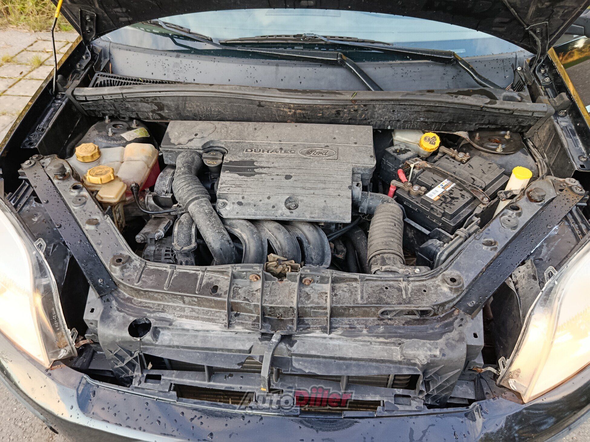 Ford Fusion 1.4 59kW 2003, photo 5/7