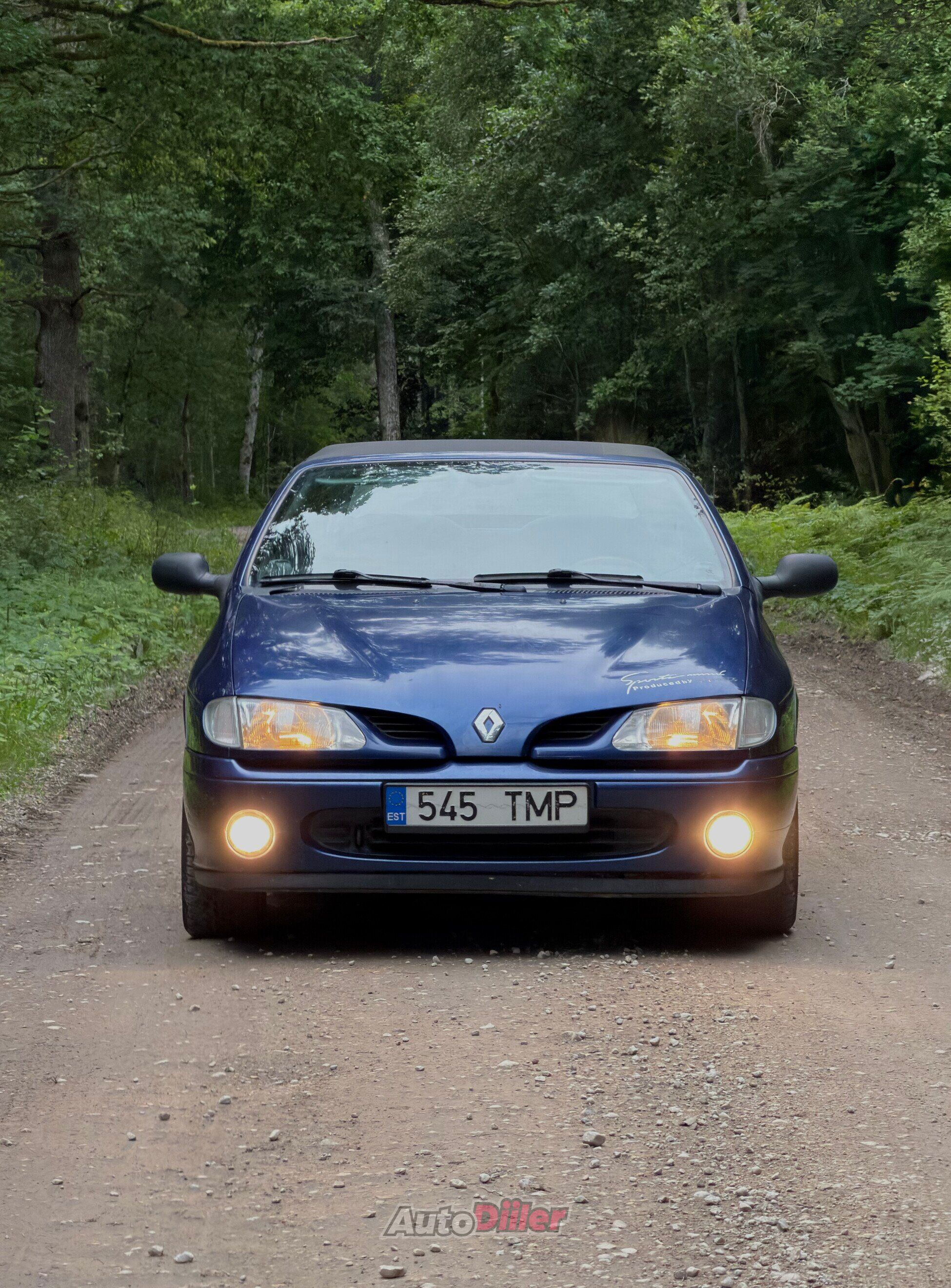 Renault Megane Cabriolet 1.6 66kW 1997, photo 2/6