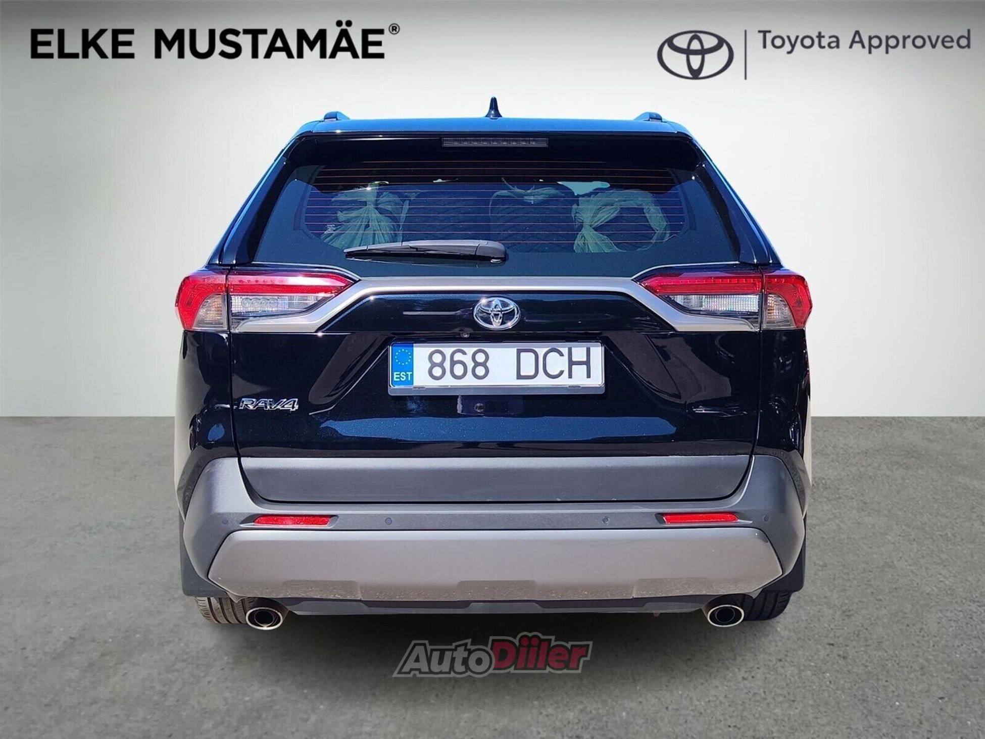 Toyota RAV4 Luxury 2.0 129kW 2019, photo 4/10