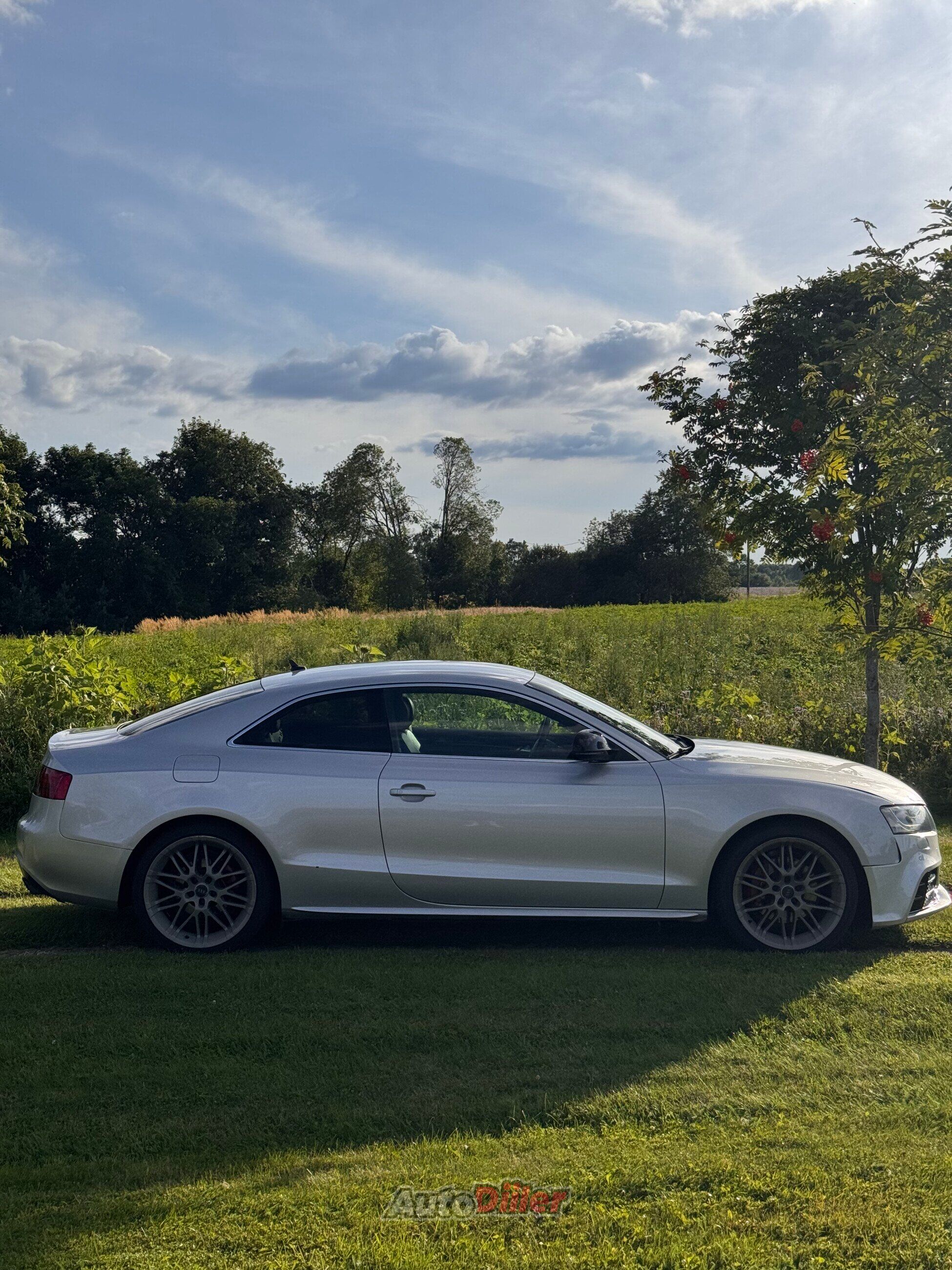 Audi A5 S-line 2.7 140kW 2008, photo 6/10
