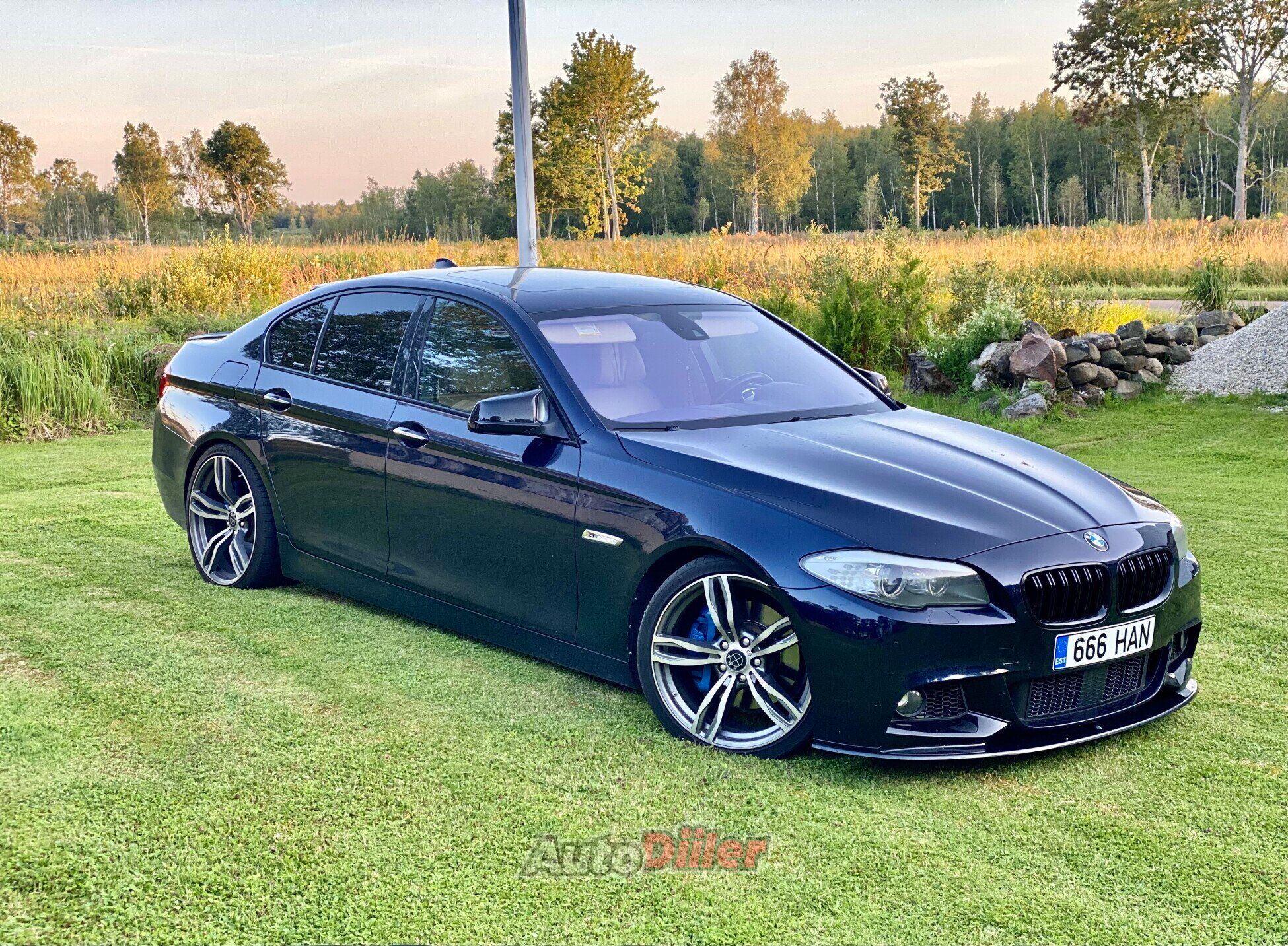 BMW 530